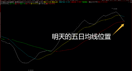 Image_539291488758753.png
