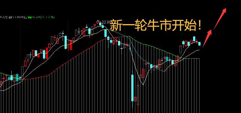 QQ_1747316518619.png