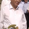 昵称有学问
